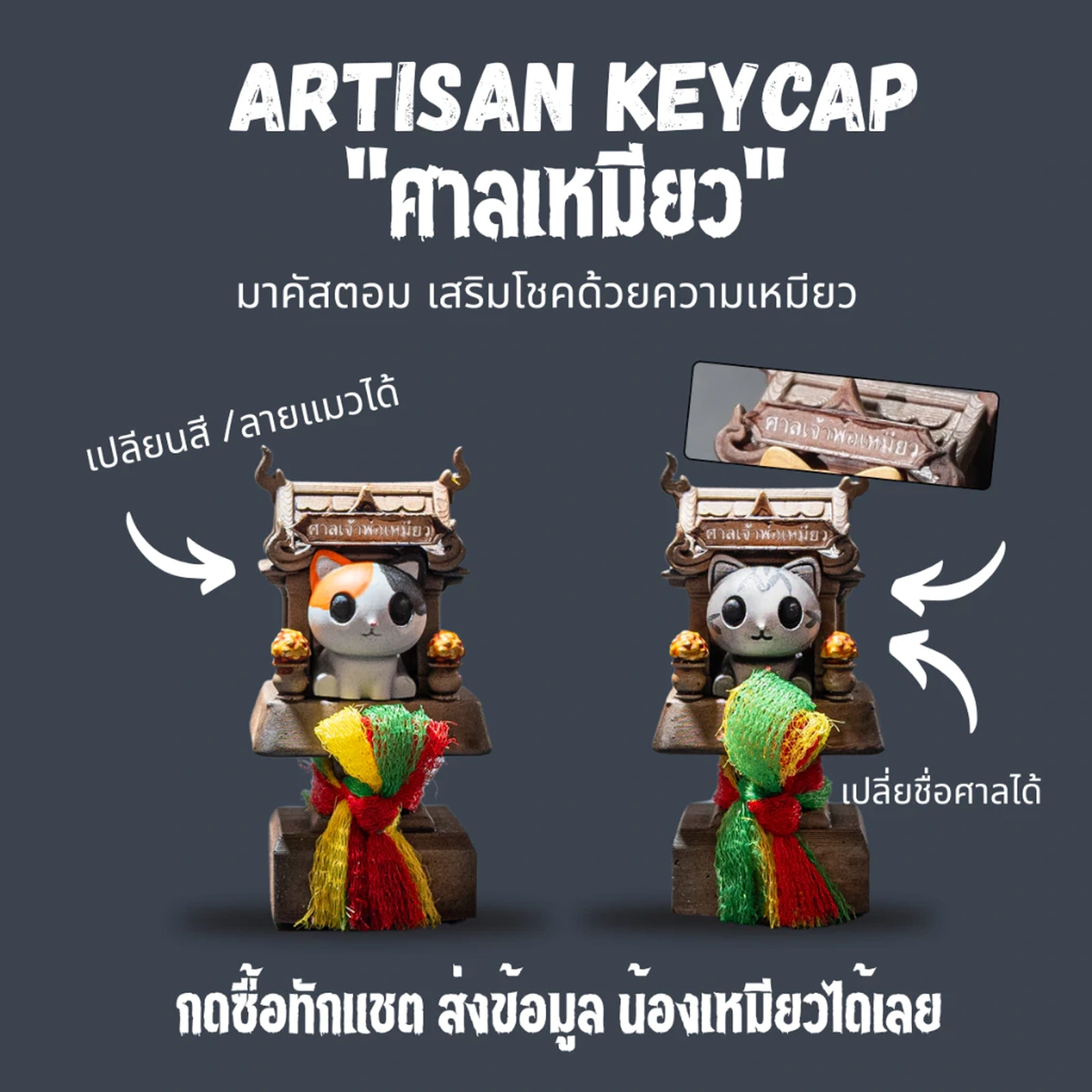 ภาพโปรโมตรุ่นปรับแต่ง